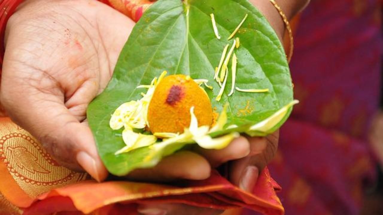 Pitra Dosh Nivara